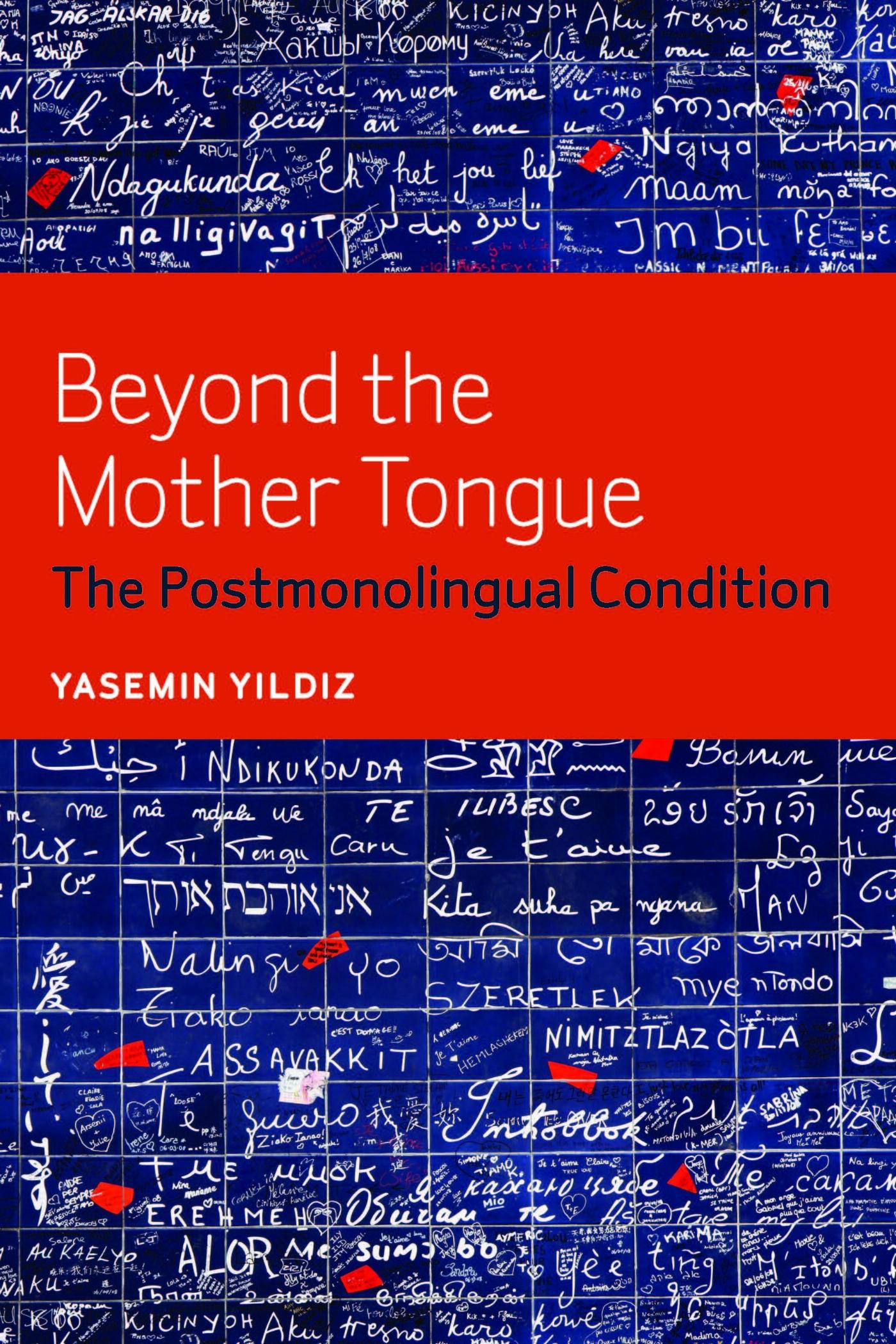 Vorderes Coverbild Beyond the Mother Tongue