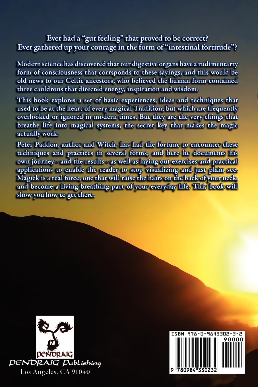 Rückseitencover Visceral Magick