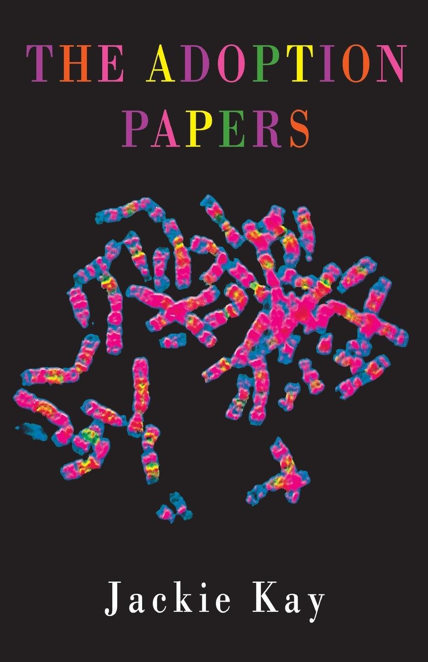 Vorderes Coverbild The Adoption Papers