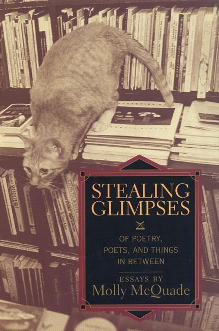 Vorderes Coverbild Stealing Glimpses