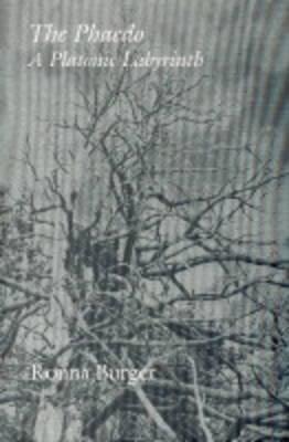 Vorderes Coverbild Phaedo A Platonic Labyrinth