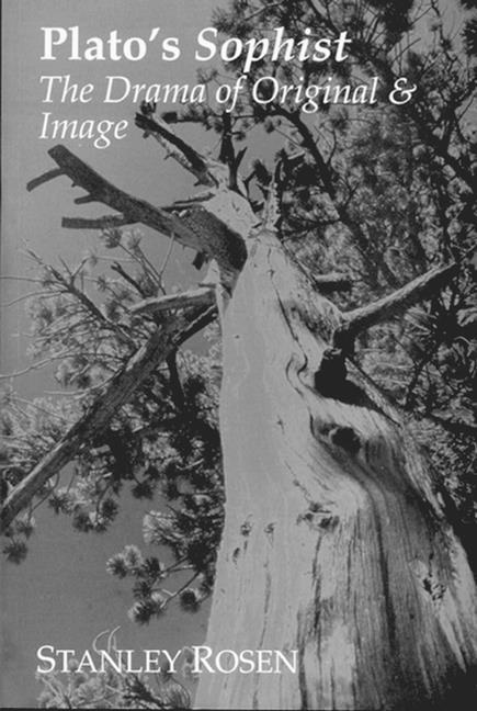 Vorderes Coverbild Plato's Sophist