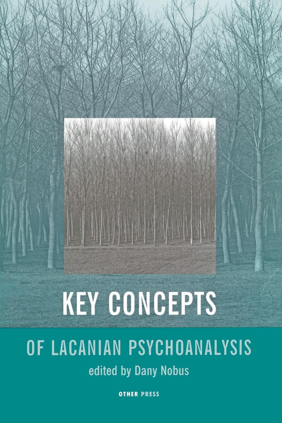 Vorderes Coverbild Key Concepts of Lacanian Psychoanalysis