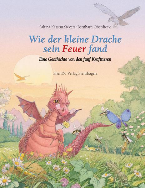 Vorderes Coverbild Wie der kleine Drache sein Feuer fand