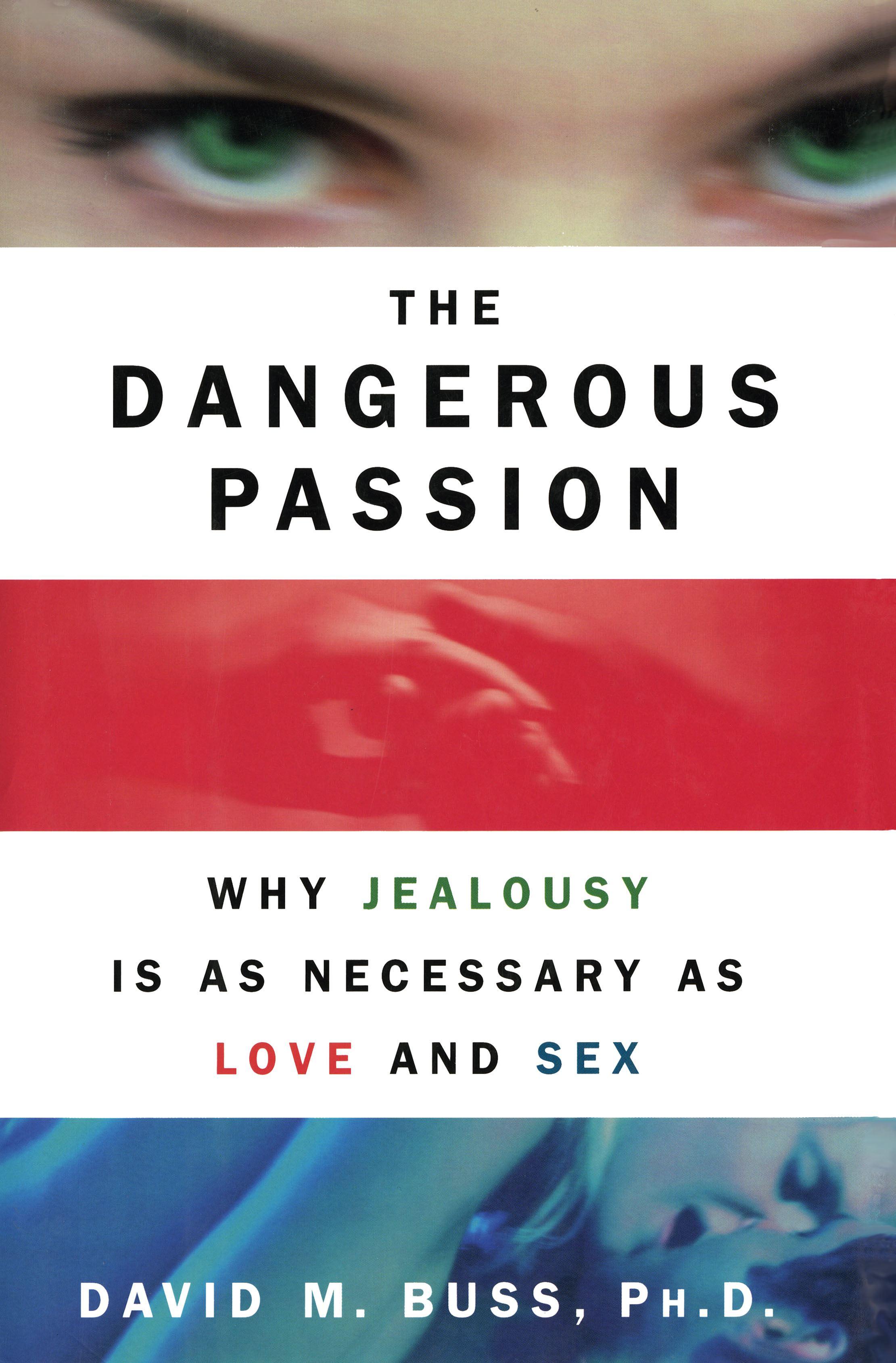 Vorderes Coverbild Dangerous Passion