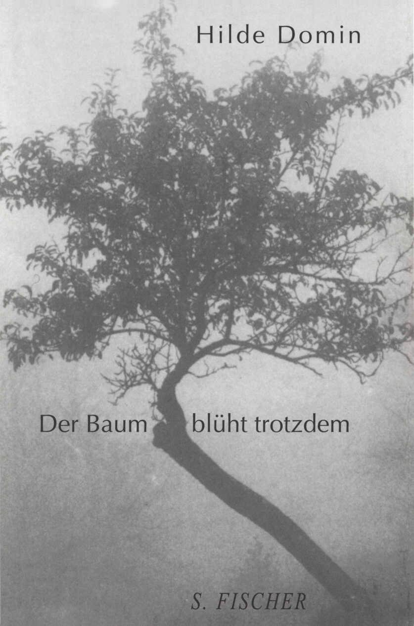 Vorderes Coverbild Der Baum blüht trotzdem