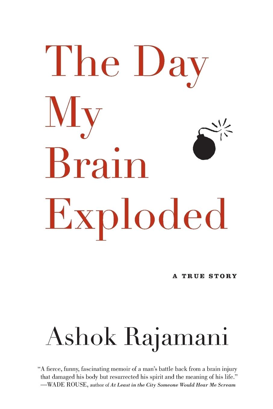 Vorderes Coverbild Day My Brain Exploded