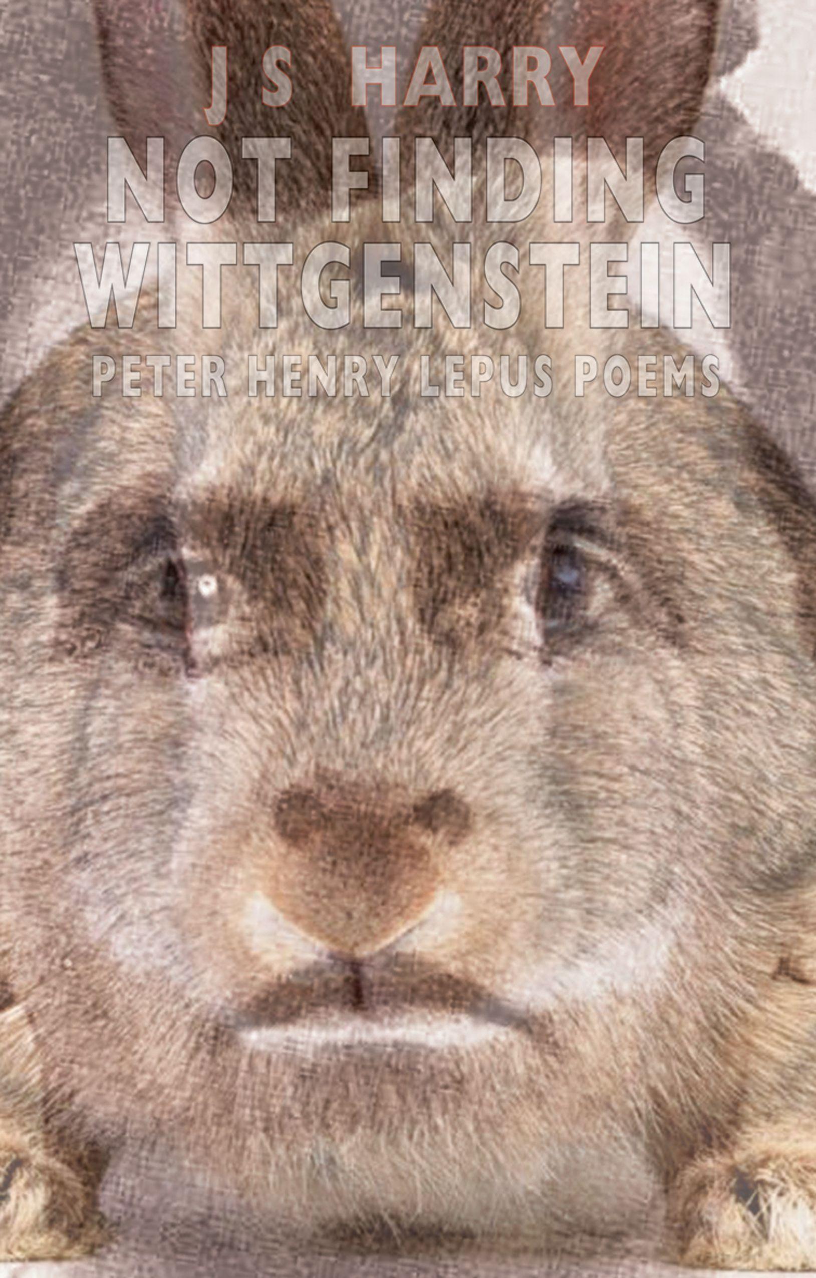 Vorderes Coverbild Not Finding Wittgenstein