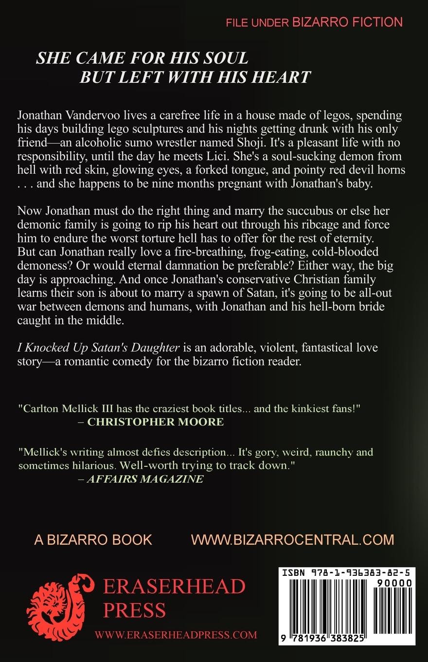 Rückseitencover I Knocked Up Satan's Daughter: A Demonic Romantic Comedy