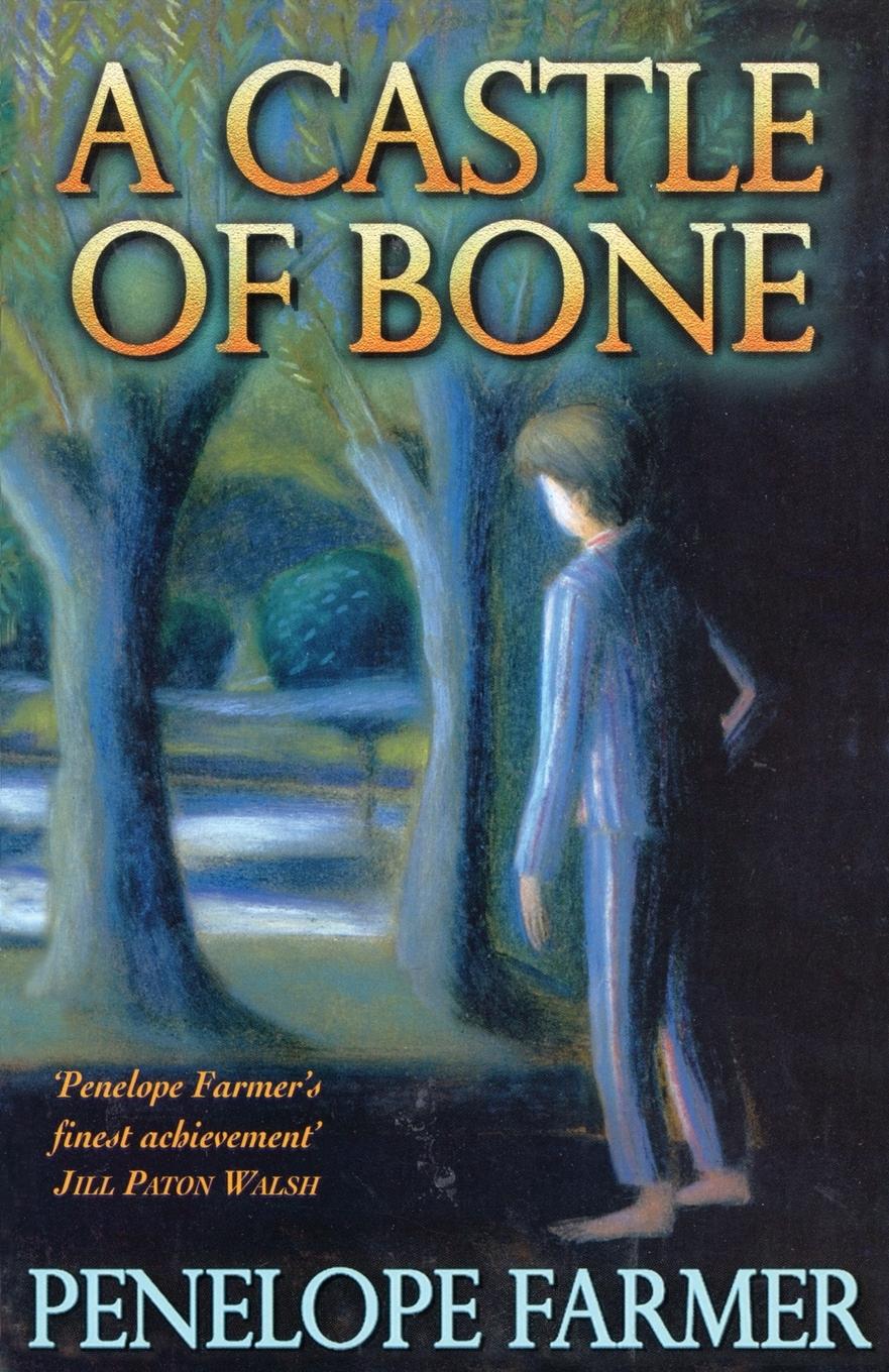 Vorderes Coverbild A Castle Of Bone