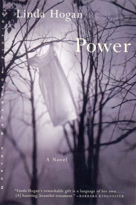 Vorderes Coverbild Power