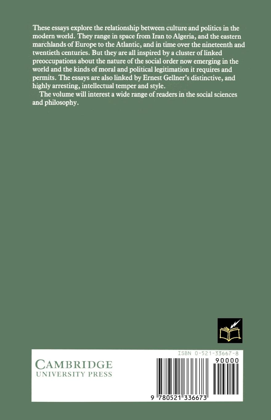 Rückseitencover Culture, Identity, and Politics