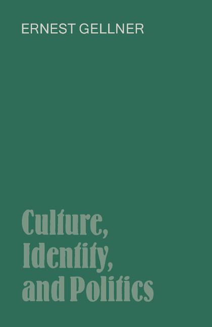 Vorderes Coverbild Culture, Identity, and Politics