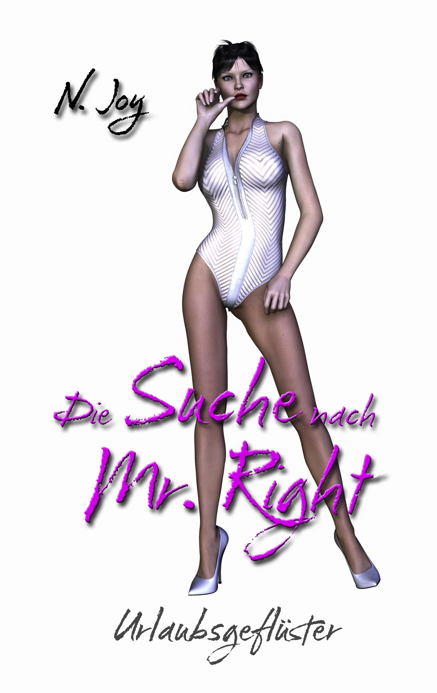 Vorderes Coverbild Die Suche nach Mr. Right