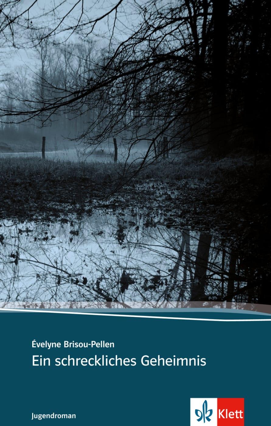 Vorderes Coverbild Ein schreckliches Geheimnis