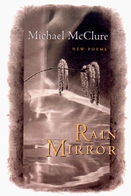 Vorderes Coverbild Rain Mirror: Poems