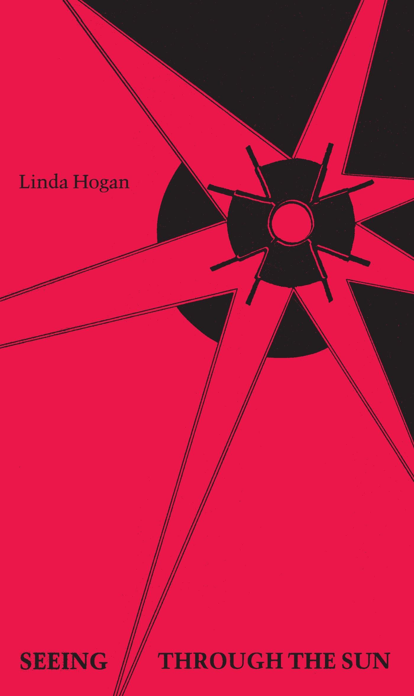 Vorderes Coverbild Seeing Through the Sun