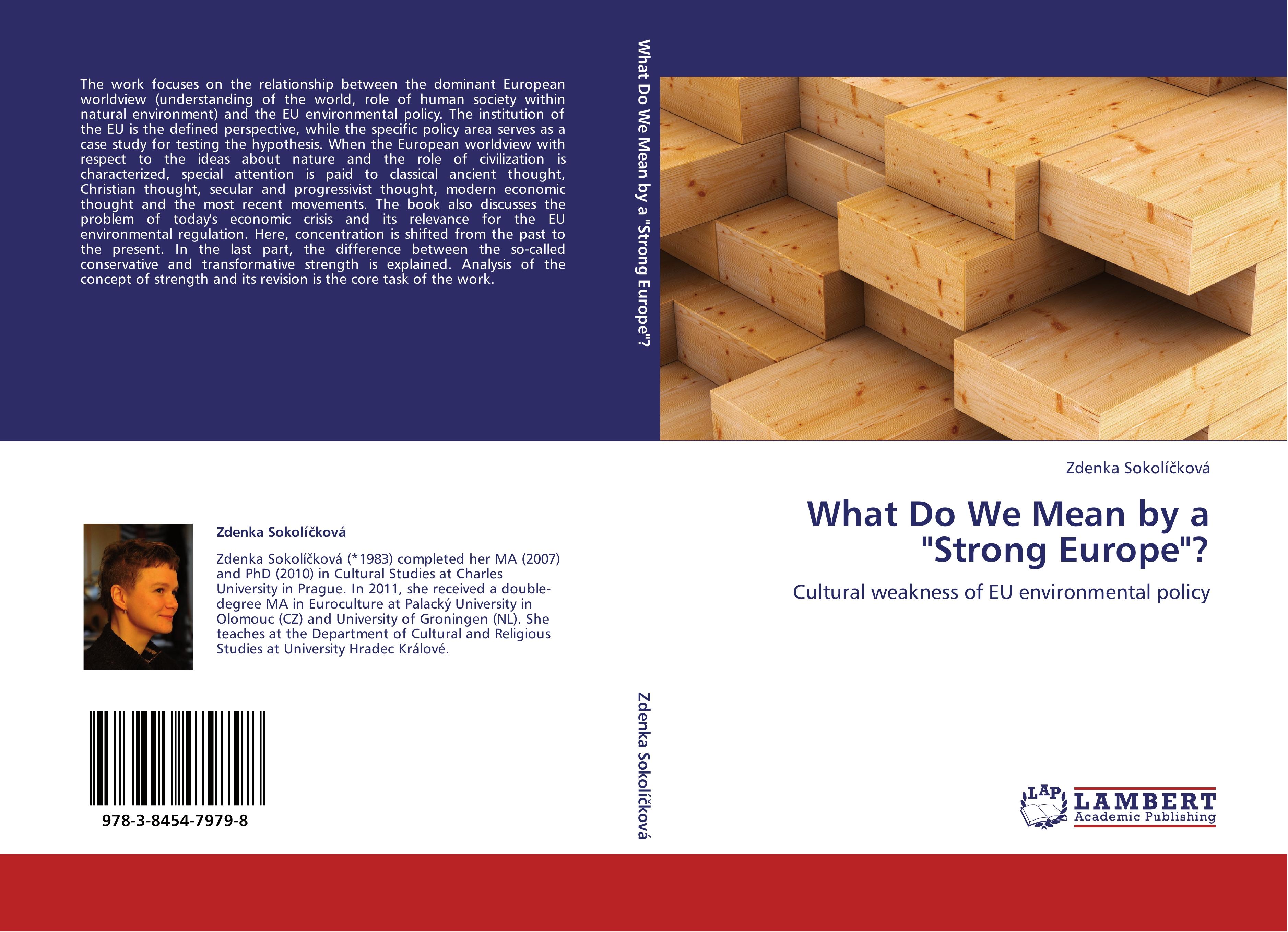 Vorderes Coverbild What Do We Mean by a "Strong Europe"?