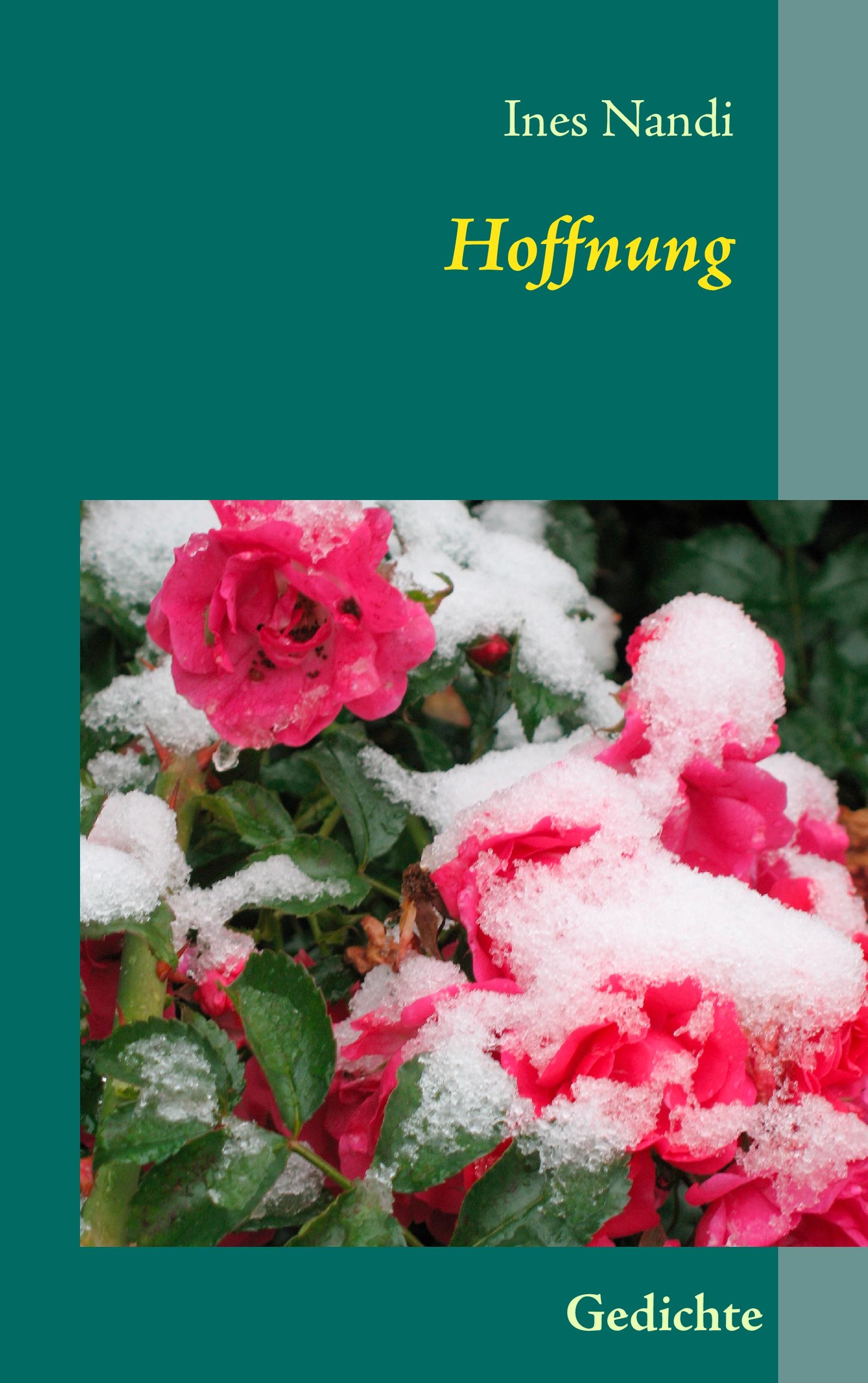 Vorderes Coverbild Hoffnung