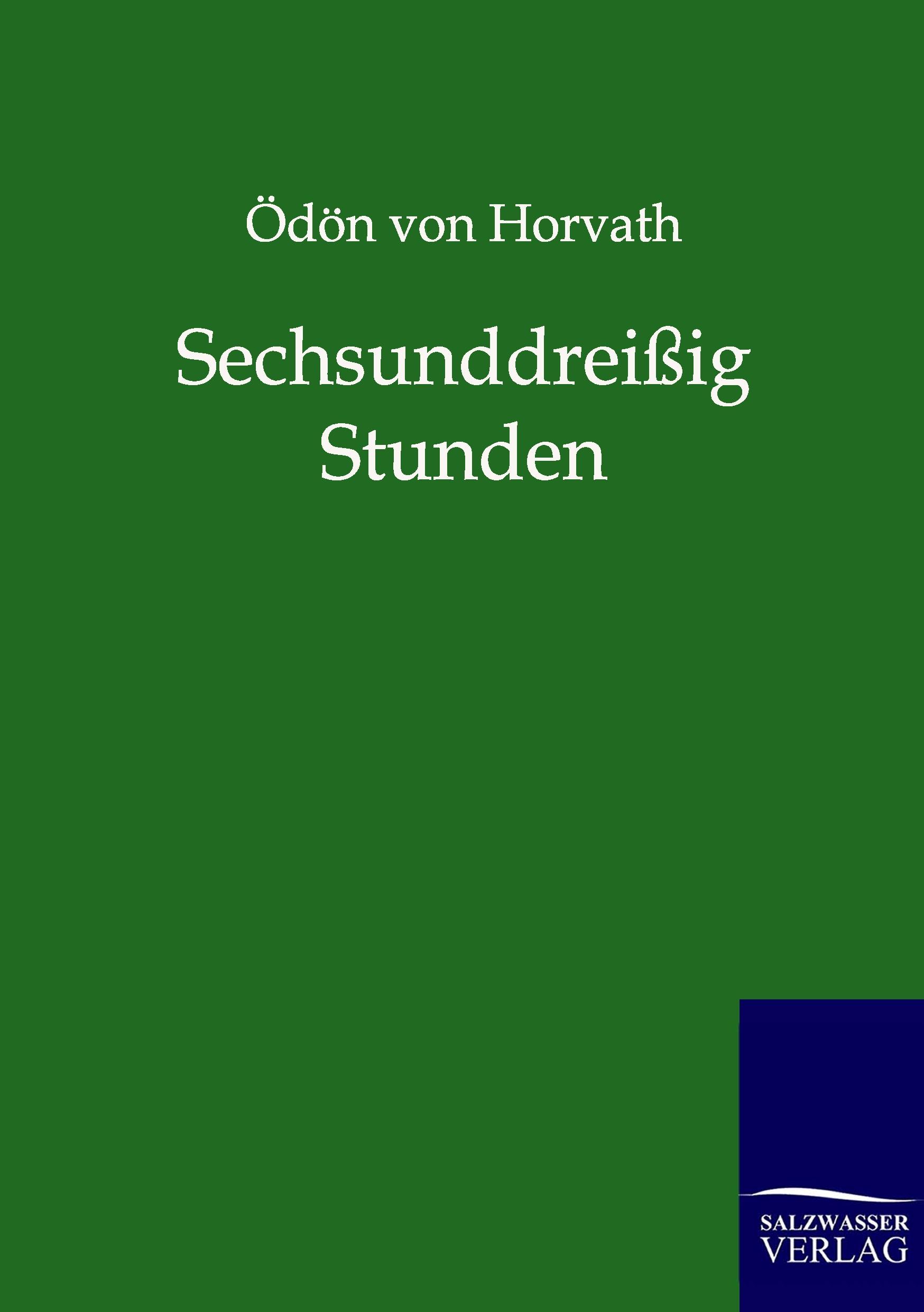Vorderes Coverbild Sechsunddreißig Stunden
