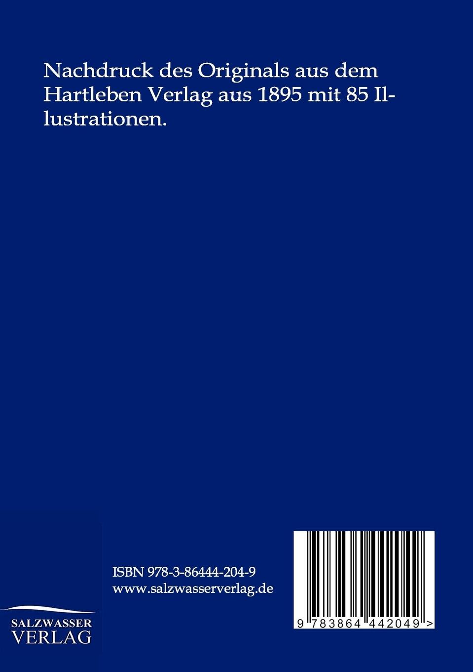 Rückseitencover Der Findling