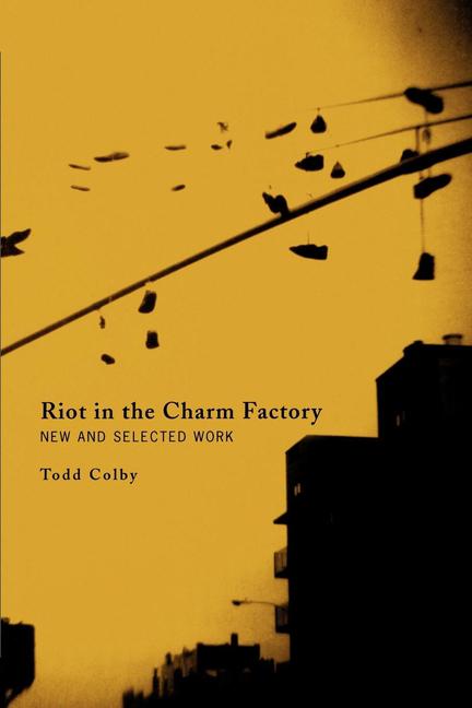 Vorderes Coverbild Riot in the Charm Factory