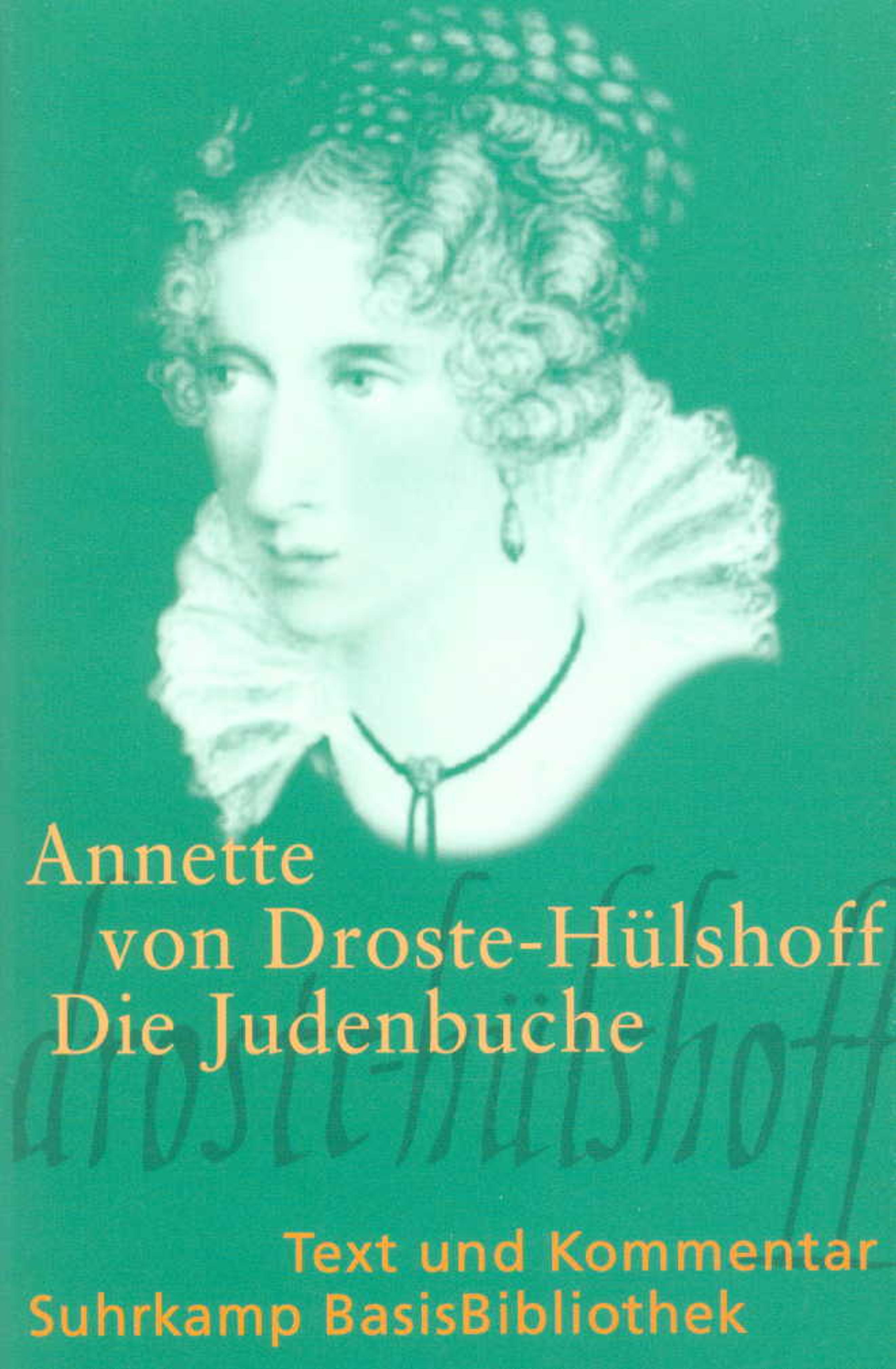 Vorderes Coverbild Die Judenbuche. Text und Kommentar