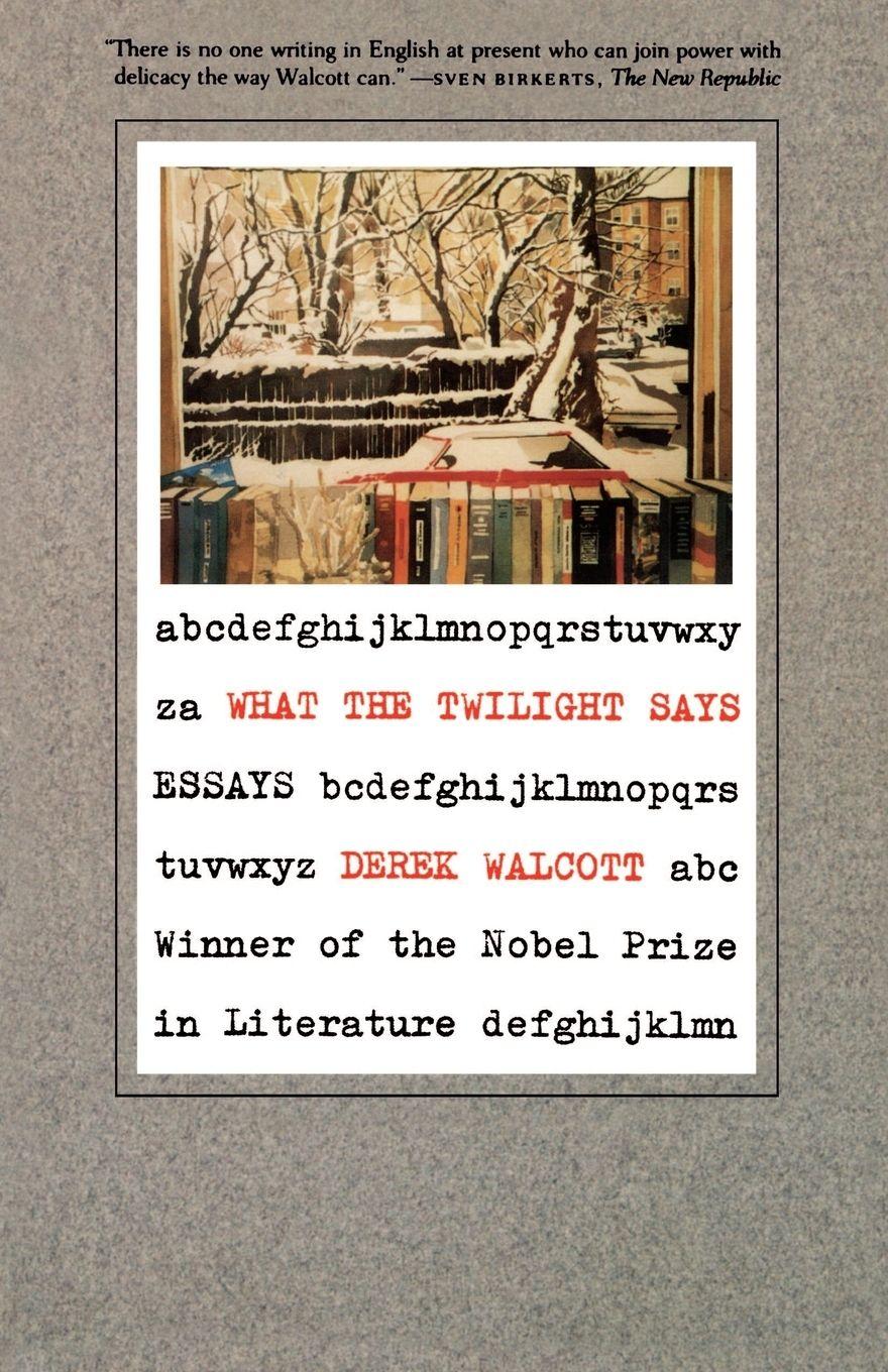 Vorderes Coverbild What the Twilight Says