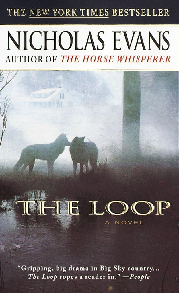 Vorderes Coverbild The Loop