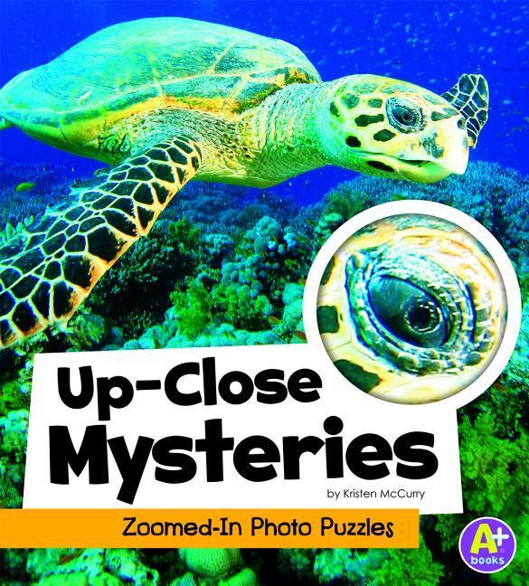 Vorderes Coverbild Up-Close Mysteries