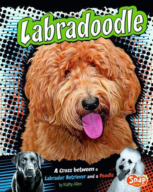 Vorderes Coverbild Labradoodle