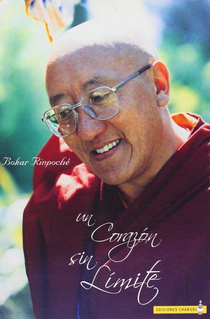 Vorderes Coverbild Un corazón sin límite