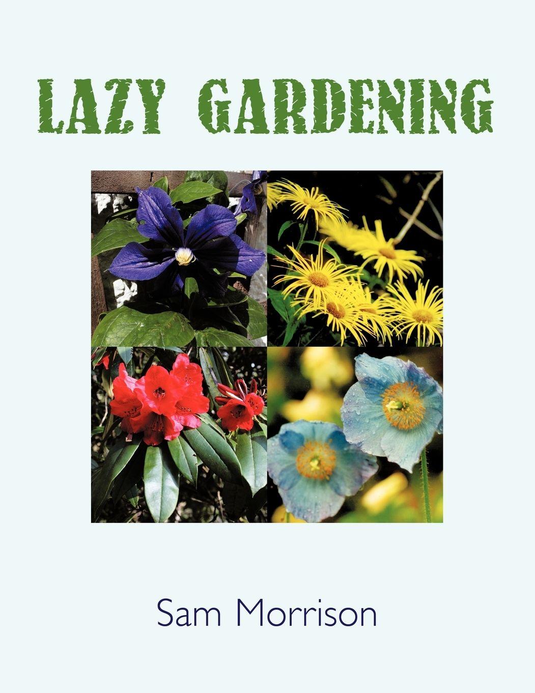 Vorderes Coverbild Lazy Gardening