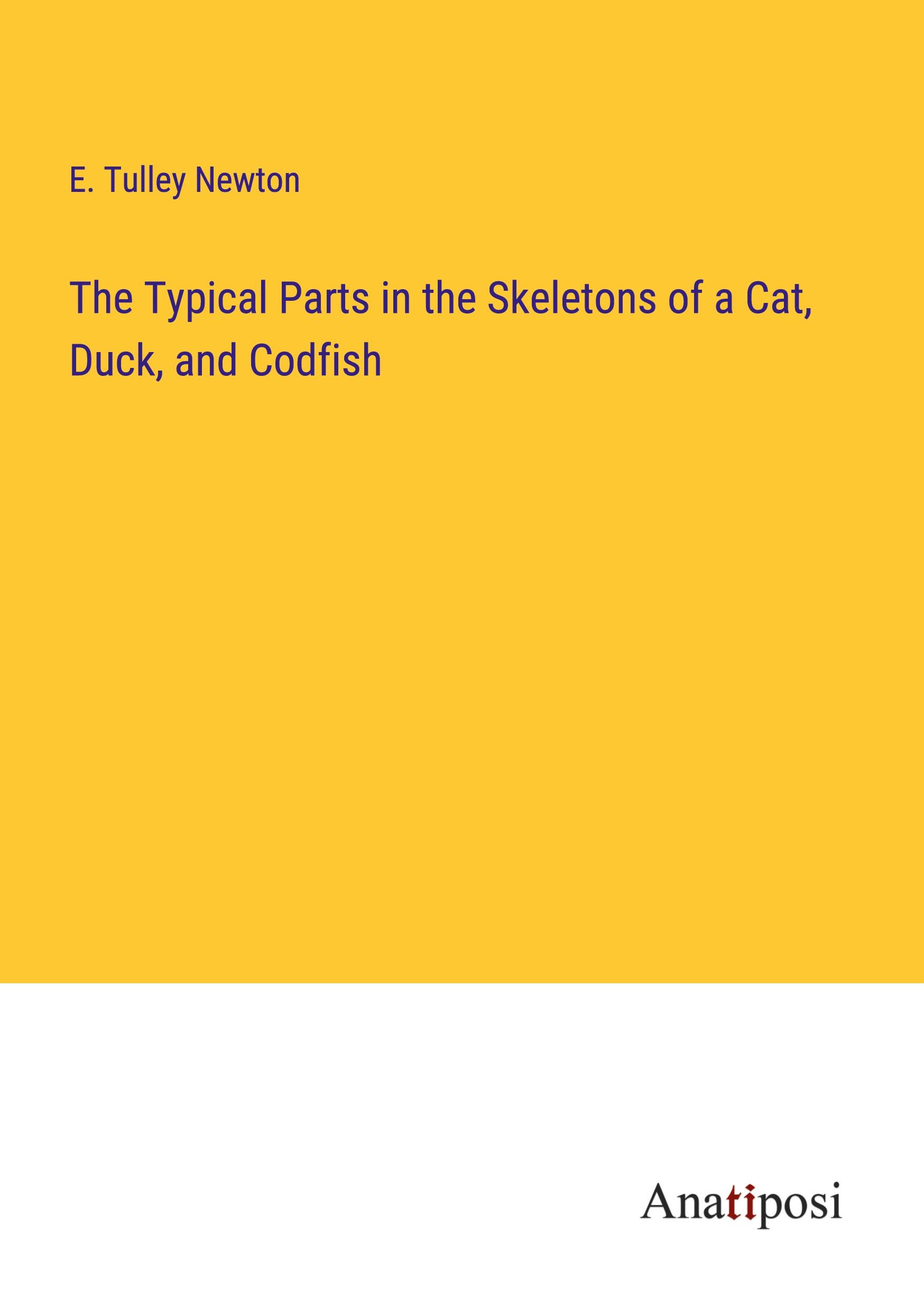 Vorderes Coverbild Beach to Nowhere