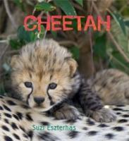 Vorderes Coverbild Cheetah