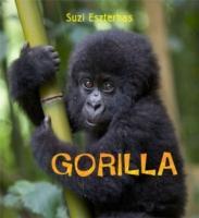 Vorderes Coverbild Gorilla
