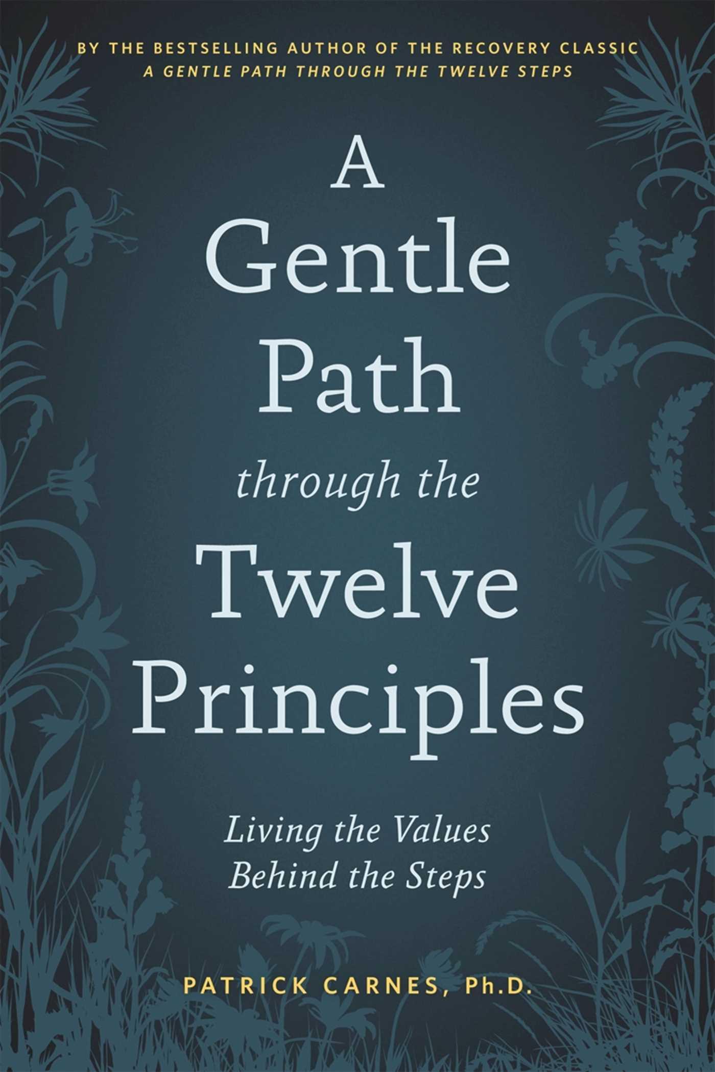 Vorderes Coverbild A Gentle Path Through the Twelve Principles