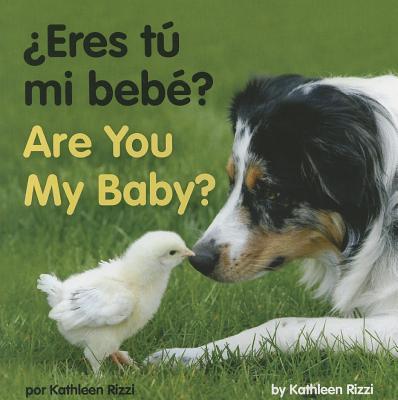 Vorderes Coverbild Are You My Baby?
