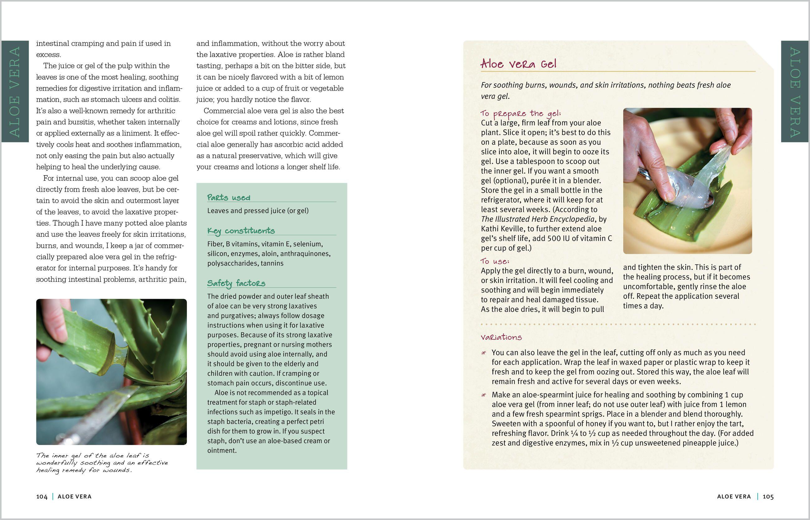 Beispielinhalt (Bild) Rosemary Gladstar's Medicinal Herbs: A Beginner's Guide