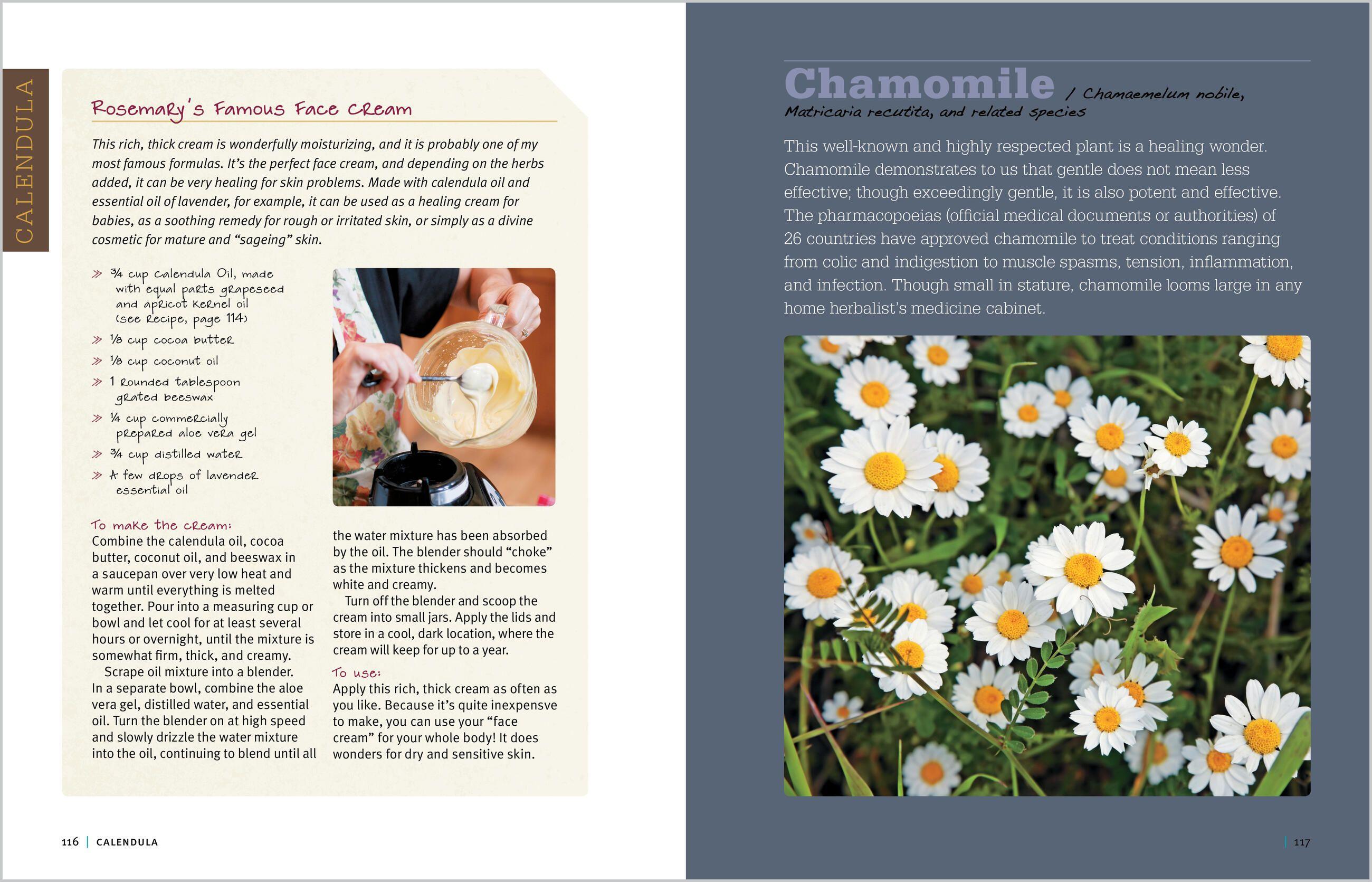 Beispielinhalt (Bild) Rosemary Gladstar's Medicinal Herbs: A Beginner's Guide