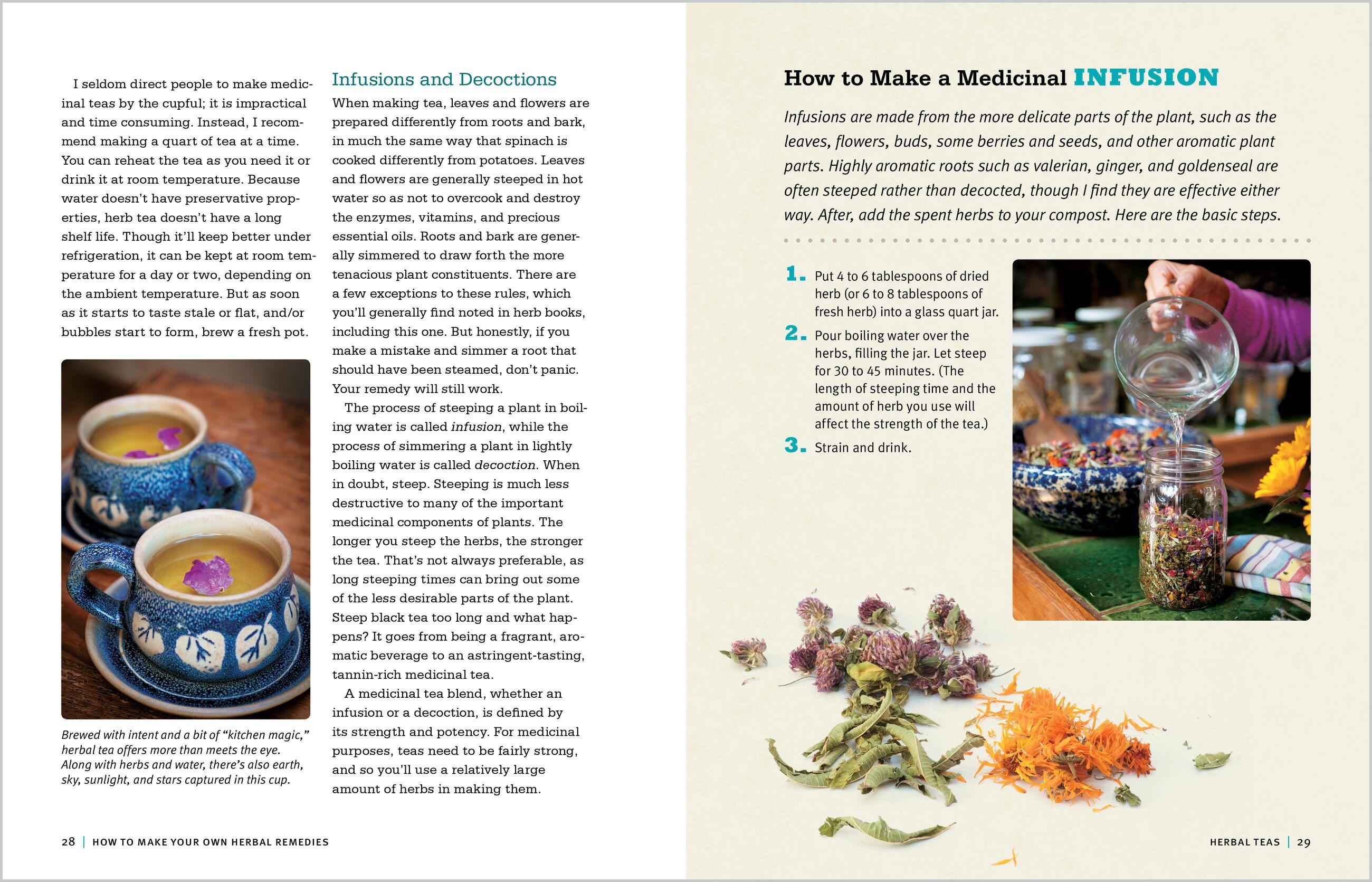 Beispielinhalt (Bild) Rosemary Gladstar's Medicinal Herbs: A Beginner's Guide