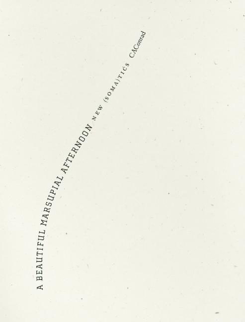 Vorderes Coverbild A Beautiful Marsupial Afternoon