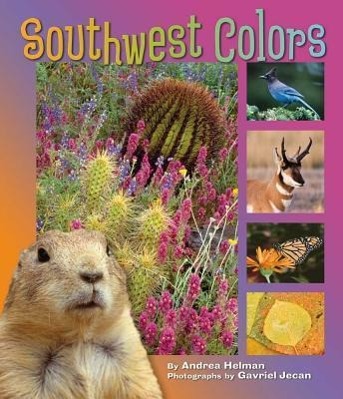 Vorderes Coverbild Southwest Colors