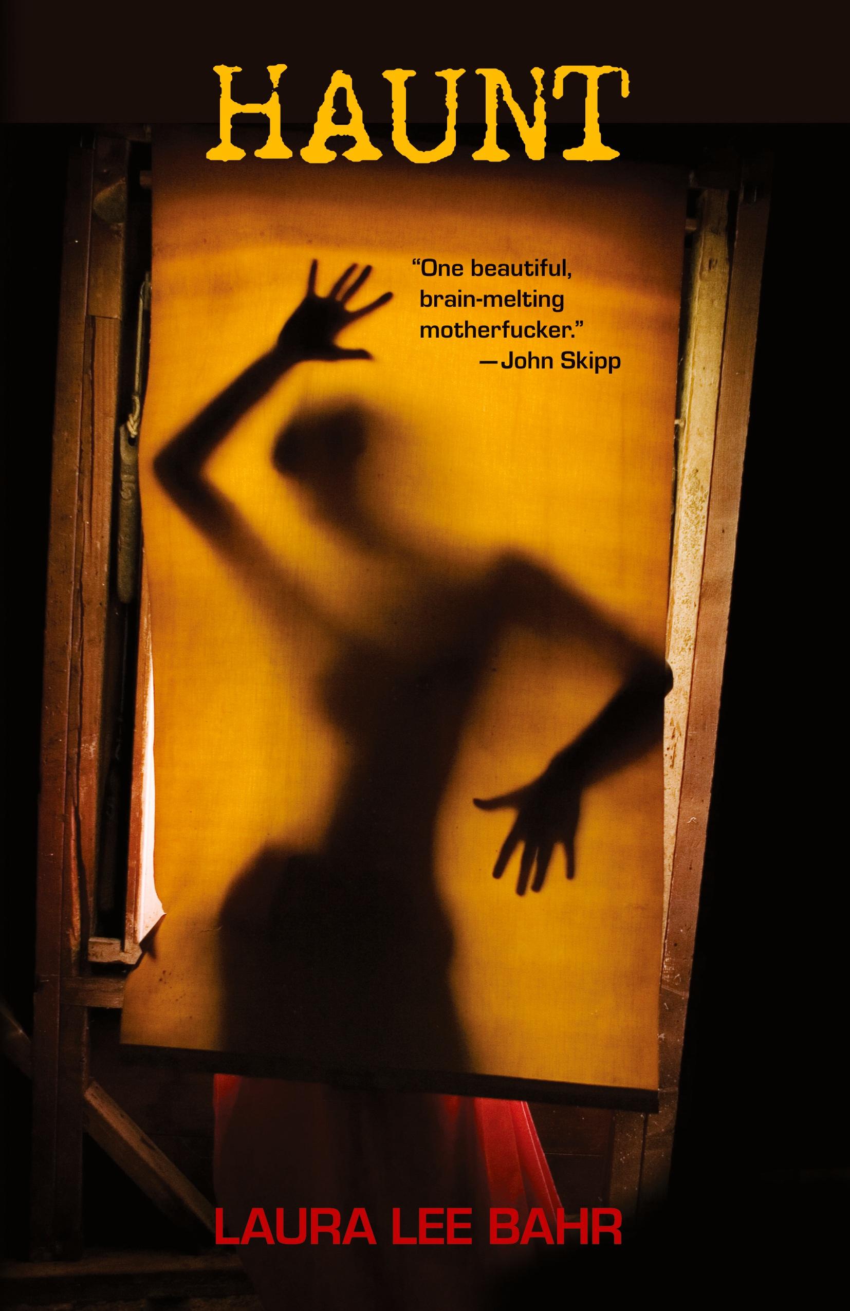 Vorderes Coverbild Haunt