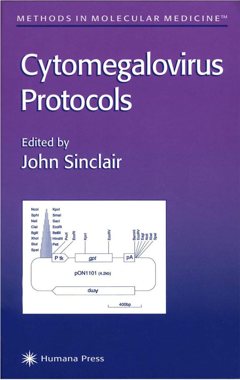 Vorderes Coverbild Cytomegalovirus Protocols
