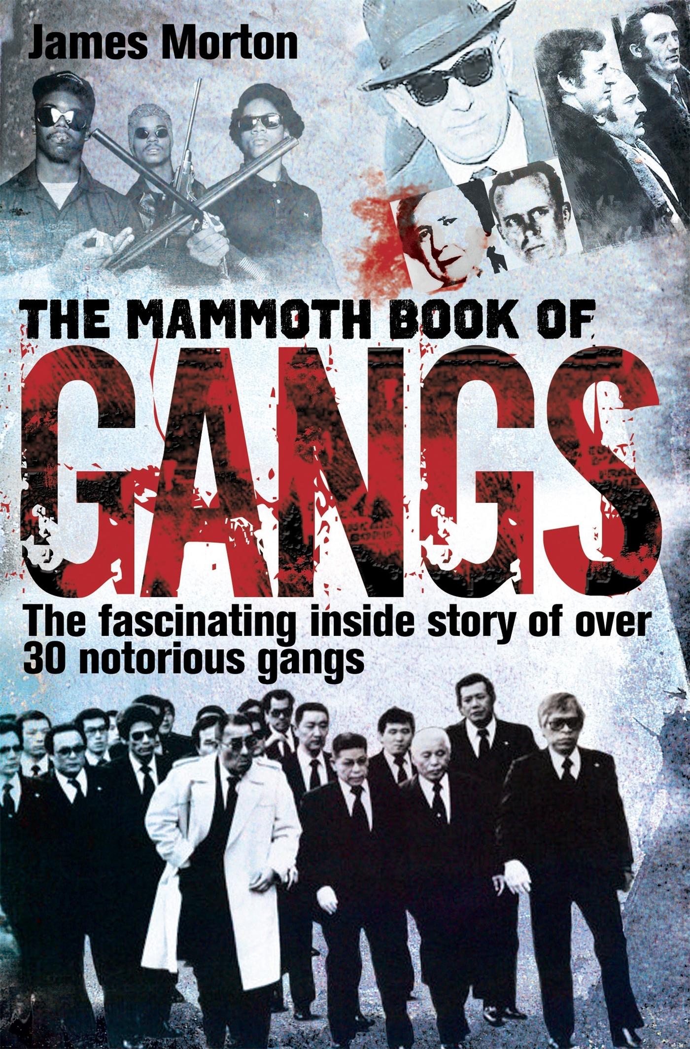 Vorderes Coverbild The Mammoth Book of Gangs