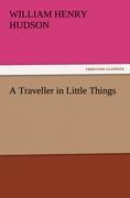 Vorderes Coverbild A Traveller in Little Things