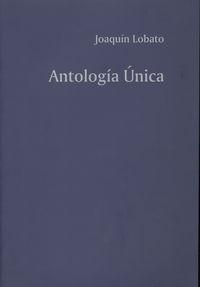 Vorderes Coverbild Antología única