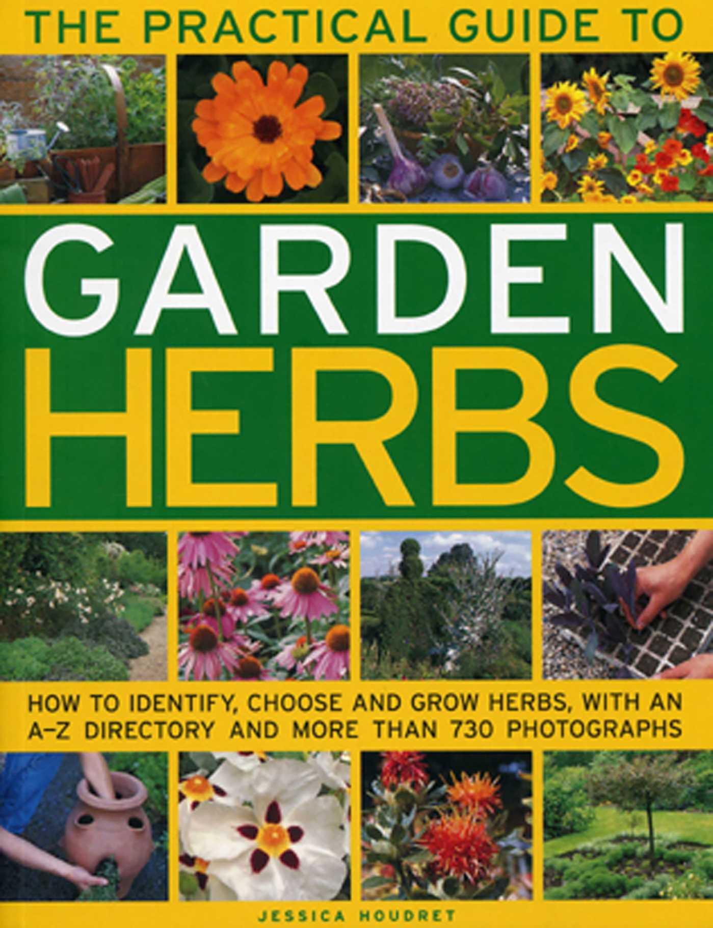 Vorderes Coverbild Practical Guide to Garden Herbs