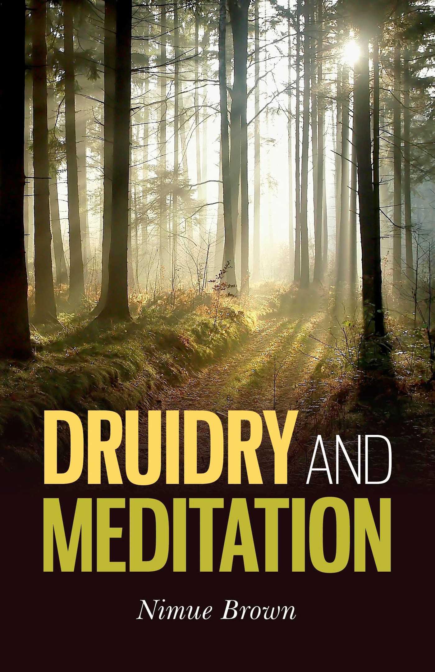 Vorderes Coverbild Druidry and Meditation